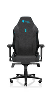 Scaun Secretlab TITAN Evo Gaming Chair Charcoal Blue Marimea Regular